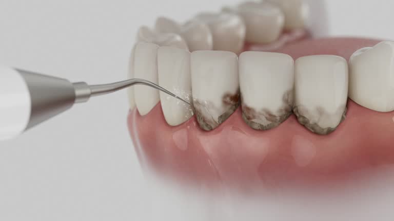 Reliable Dental contractor in Livingston, AL by Dentist Open Now
